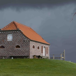 Månedens Foto 2017