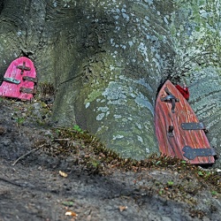 Månedens foto maj 2018