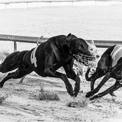 Månedens Foto december 2020