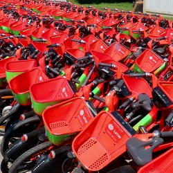 Månedens  Foto 2021