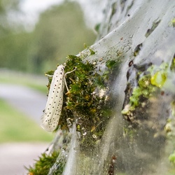 Månedens Foto juli 2021 (frit emne)