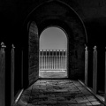 MF11- nr.13 - frit emne