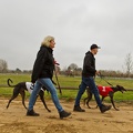 MF11- nr.10 - frit emne
