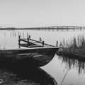 MF11- nr.8 - frit emne