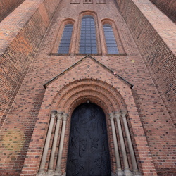 Foto Marts 22 - Frøperspektiv