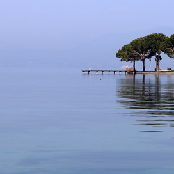 Foto juni - frit emne