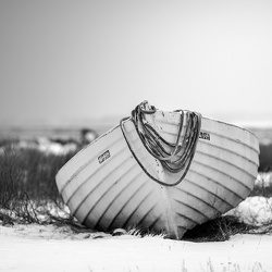 Foto februar - frit emne