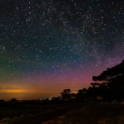 Foto marts - frit emne